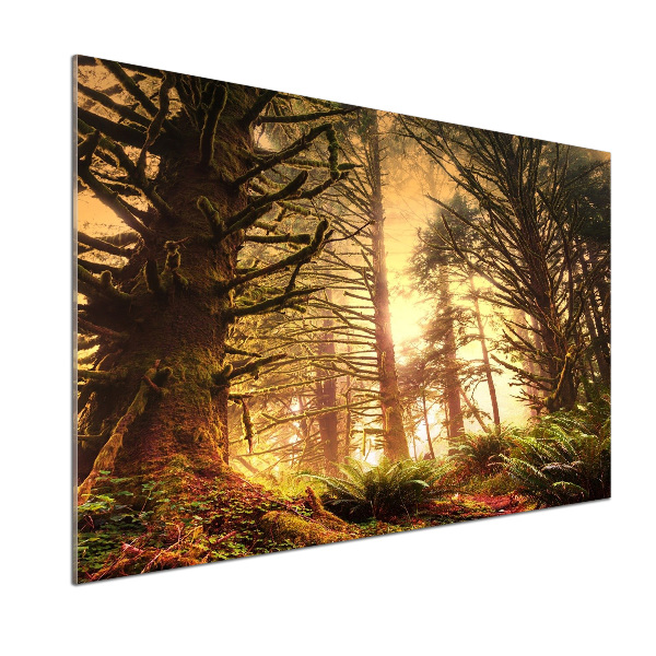 Panel do kuchyně Dešťový prales