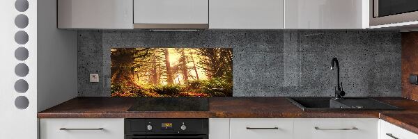 Panel do kuchyně Dešťový prales