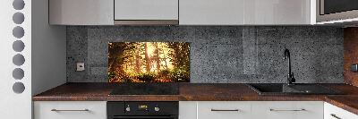 Panel do kuchyně Dešťový prales