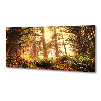 Panel do kuchyně Dešťový prales