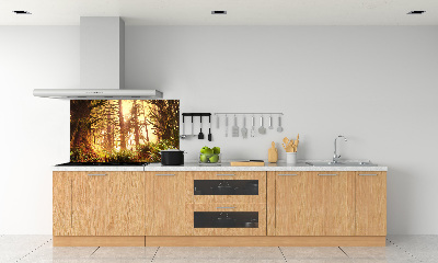 Panel do kuchyně Dešťový prales