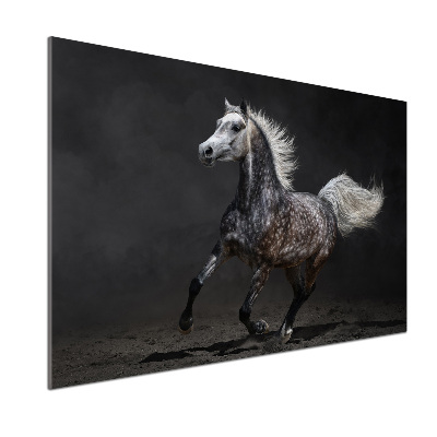 Panel do kuchyně Šedný arabský kůň
