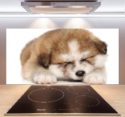 Panel do kuchyně Štěně Akita