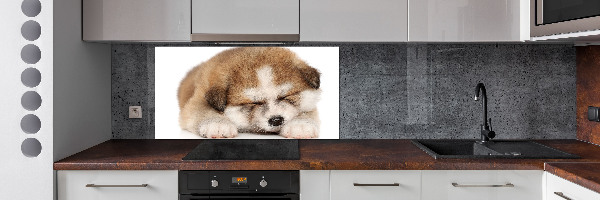 Panel do kuchyně Štěně Akita
