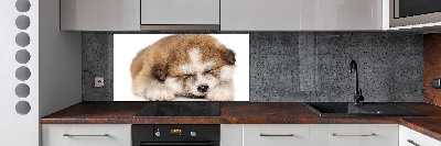 Panel do kuchyně Štěně Akita