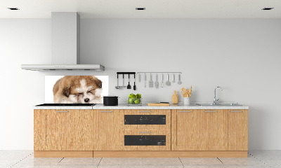 Panel do kuchyně Štěně Akita