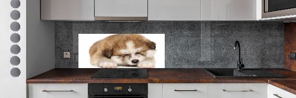 Panel do kuchyně Štěně Akita