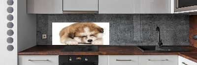 Panel do kuchyně Štěně Akita