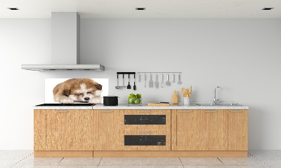 Panel do kuchyně Štěně Akita