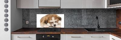 Panel do kuchyně Štěně Akita