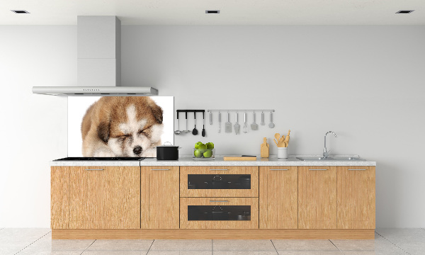 Panel do kuchyně Štěně Akita