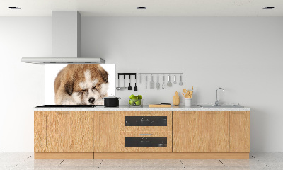 Panel do kuchyně Štěně Akita