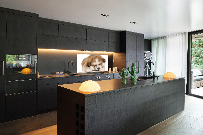 Panel do kuchyně Štěně Akita