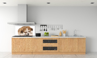 Panel do kuchyně Štěně Akita