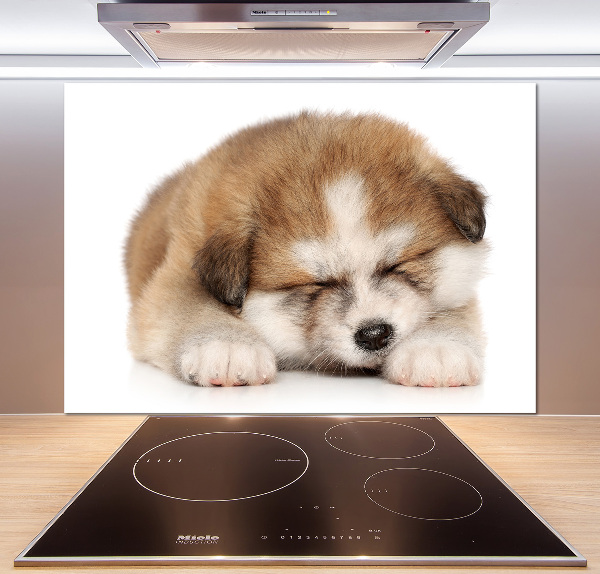 Panel do kuchyně Štěně Akita