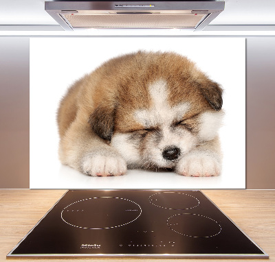 Panel do kuchyně Štěně Akita