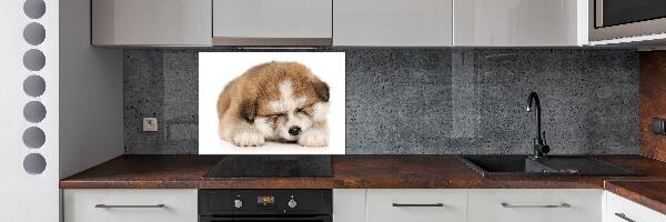 Panel do kuchyně Štěně Akita