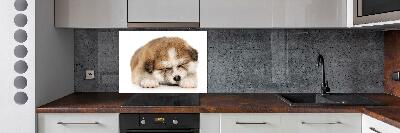 Panel do kuchyně Štěně Akita