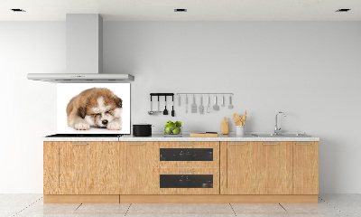 Panel do kuchyně Štěně Akita