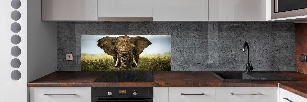 Panel do kuchyně Slon na savaně