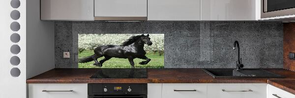Panel do kuchyně Černý kůň květiny