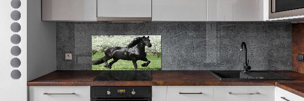 Panel do kuchyně Černý kůň květiny