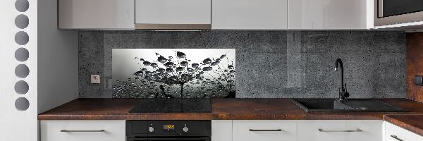 Panel do kuchyně Semeno pampelišky