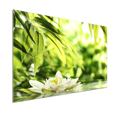 Dekorační panel sklo Vodní lilie