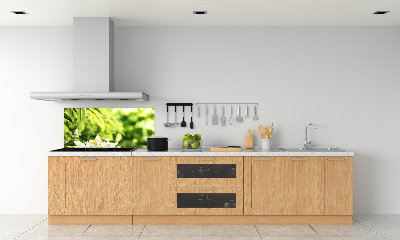 Dekorační panel sklo Vodní lilie
