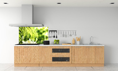 Dekorační panel sklo Vodní lilie