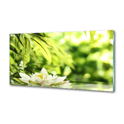 Dekorační panel sklo Vodní lilie