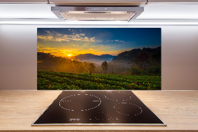 Panel do kuchyně Čajová plantáž