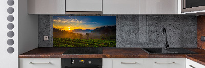 Panel do kuchyně Čajová plantáž