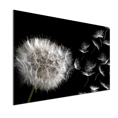 Dekorační panel sklo Pampeliška