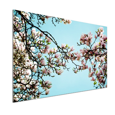 Panel do kuchyně Květiny magnolie