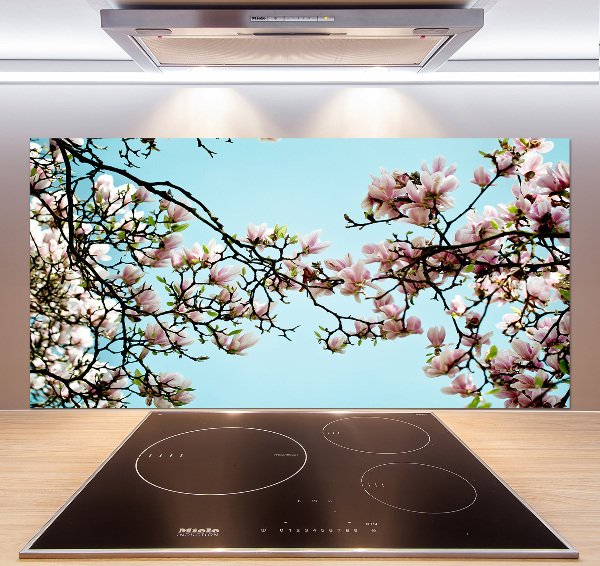 Panel do kuchyně Květiny magnolie
