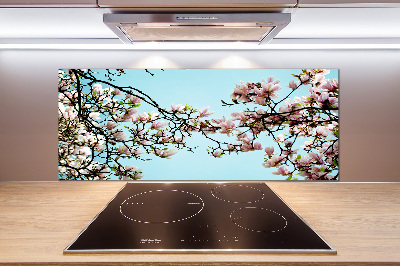Panel do kuchyně Květiny magnolie