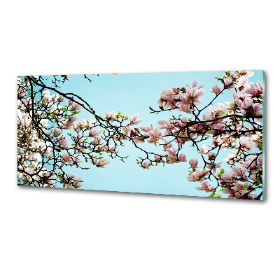 Panel do kuchyně Květiny magnolie