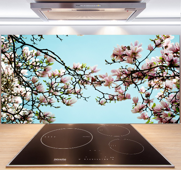 Panel do kuchyně Květiny magnolie