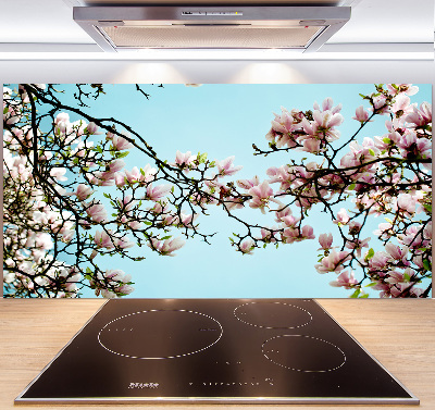 Panel do kuchyně Květiny magnolie