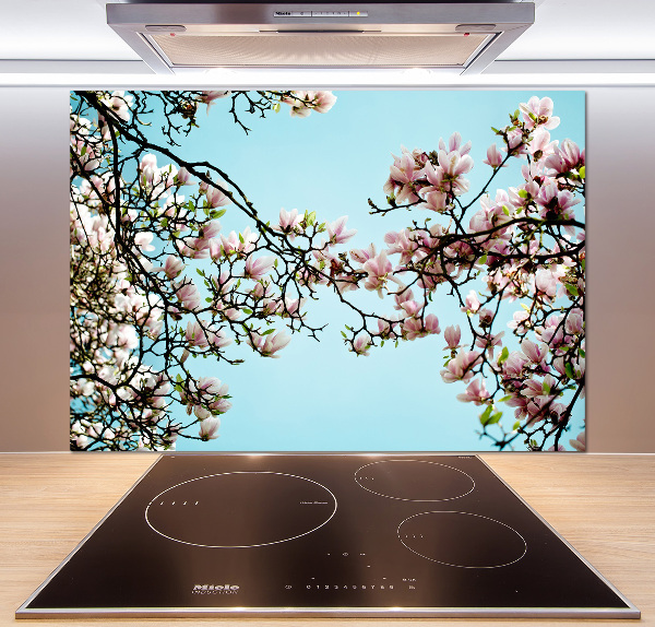 Panel do kuchyně Květiny magnolie