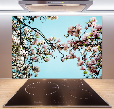 Panel do kuchyně Květiny magnolie