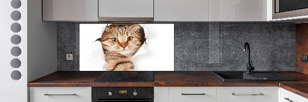 Panel tvrzené sklo do kuchyně Kočka