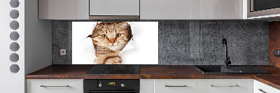 Panel tvrzené sklo do kuchyně Kočka