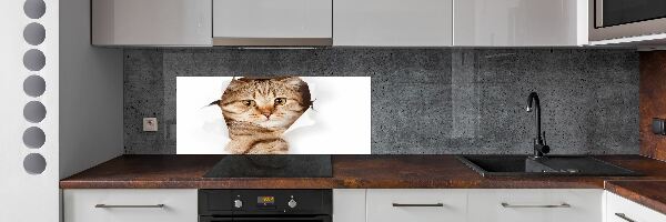 Panel tvrzené sklo do kuchyně Kočka