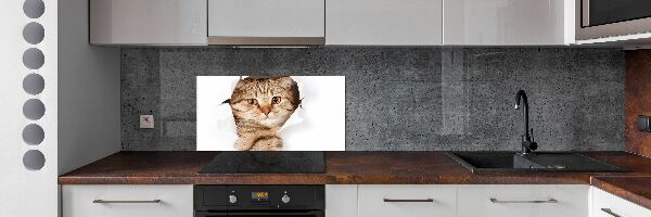 Panel tvrzené sklo do kuchyně Kočka