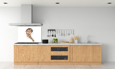 Panel tvrzené sklo do kuchyně Kočka