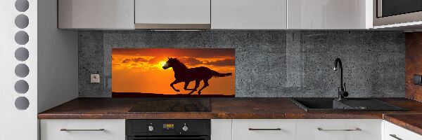 Panel do kuchyně Kůň západ slunce