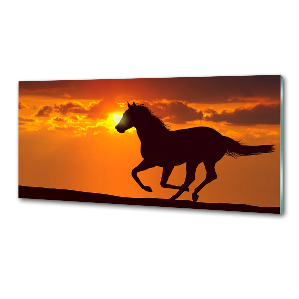 Panel do kuchyně Kůň západ slunce