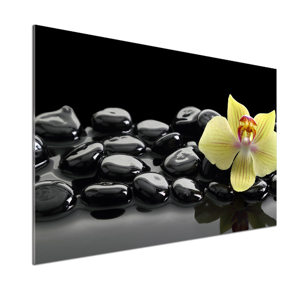 Skleněný panel do kuchynské linky Orchidej